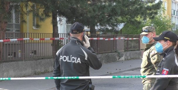 DSS-policia-608x307
